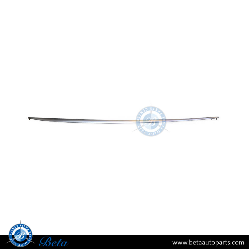 Left Side Side Skirt Front Chrome Moulding for Normal AMG for Mercedes C-Class W205 2015-2021 models, Part Number 2056980162 Left Side Side Skirt Front Chrome Moulding for Normal AMG for Mercedes C-Class W205 2015-2021 models, Part Number 2056980162